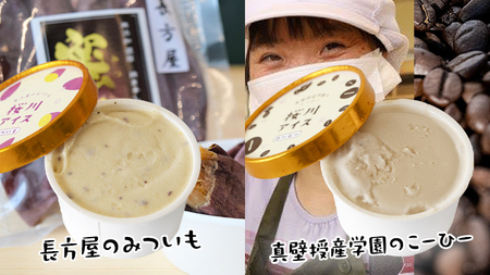 【生産者支援】桜川アイス 6種 6個 セット  数量限定 食べ比べ 90ml×6種類 桜川市のこだわり素材を使用 アイス あいす デザート スイーツ 産地限定 おやつ カップ フレーバー メロン ゆず