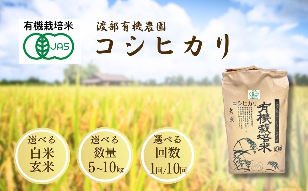 
            JAS有機米 コシヒカリ 選べる白米/玄米 5kg-10kg 単品/定期便 令和7年産 | JAS 有機米 精米 玄米 コメ 米 こめ ブランド米 銘柄 福島 福島県産 渡部有機農園
          