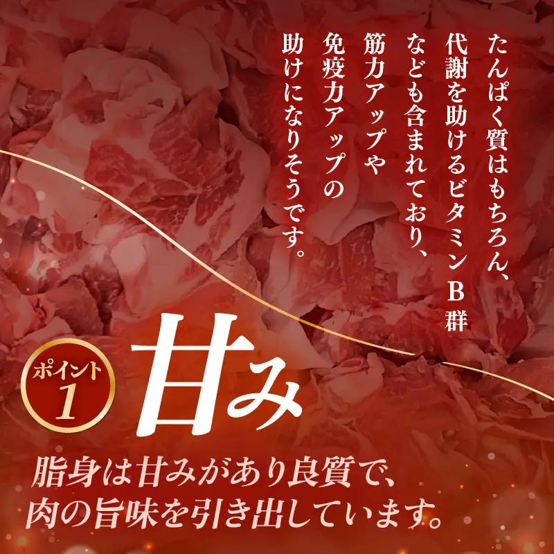 【ブランド豚】ふくいポーク 切り落とし 1kg 国産豚肉 冷凍 [e02-a031]