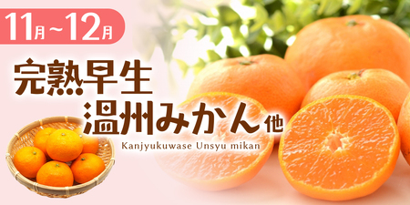 みかん 柑橘 自然塾 季節の柑橘詰合せ 約3.5㎏ | みかん みかん みかん みかん【szjk0003】