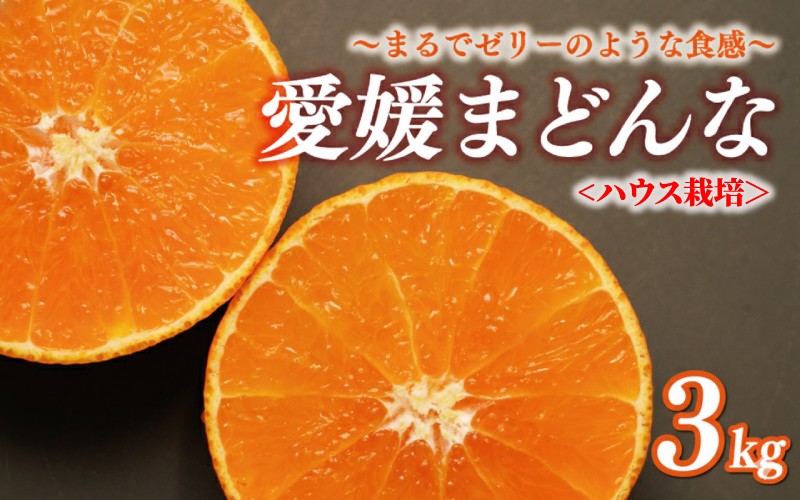 
                  【先行予約】正品 まどんな 3kg ハウス栽培 みかん 13000円 愛果28号 紅まどんな 同品種 あいか アイカ 高級 人気 ブランド 柑橘 果物 フルーツ 期間限定 産地直送 国産 農家直送 特産品 お取り寄せ ギフト プレゼント お歳暮 mikan 蜜柑 ミカン 紅まどんな 同品種 アイカ 愛果 甘い おいしい ゼリー ぷるぷる 前田ファーム 愛南町 愛媛県
                