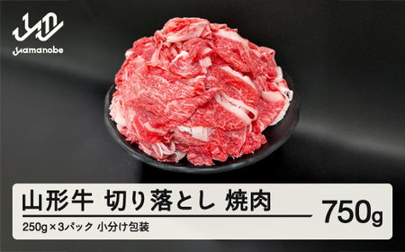 山形牛 切り落とし 750g  部位お任せ 形不揃い 牛肉 高橋畜産 ※沖縄・離島への配送不可 tc-gnxox750