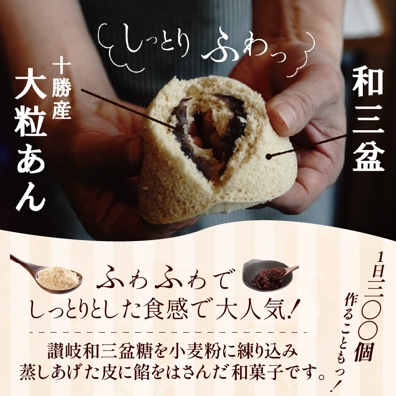 【蒸しどら プレーン 10個入 】和三盆 どら焼き 餡 ふわふわ しっとり食感 H181-004