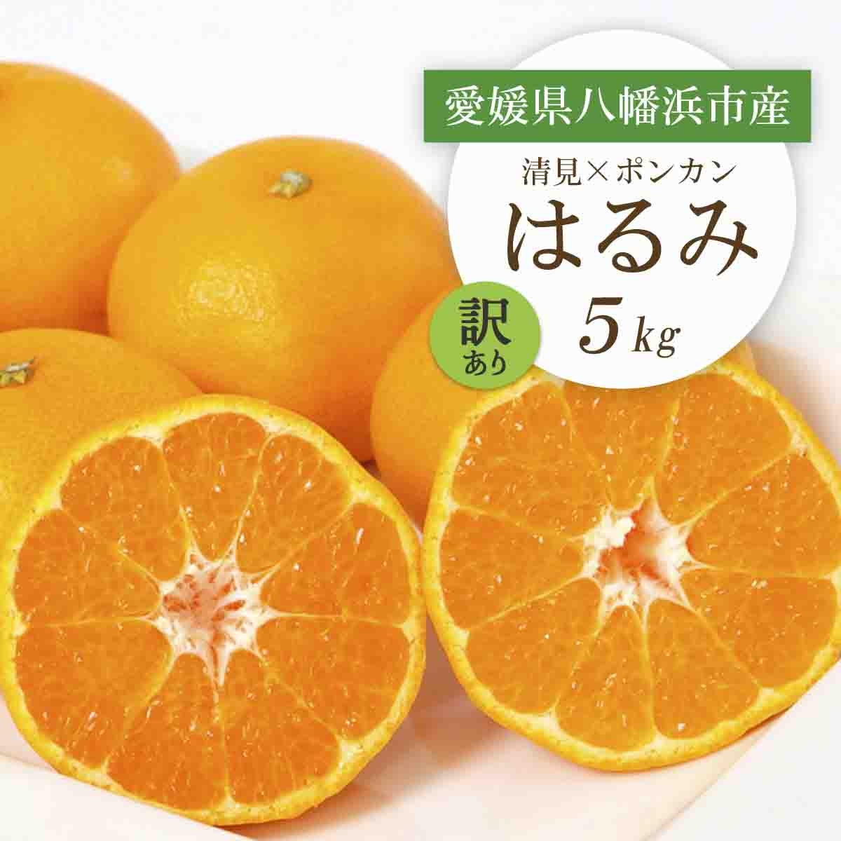 
                  ＜2026年2月より順次発送＞愛媛県八幡浜市産 はるみ5kg＜訳あり＞＜C25-209＞【1612666】 YWTAP150
                