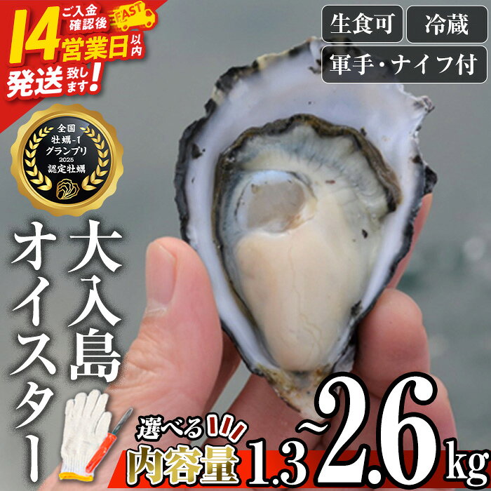 【ふるさと納税】＼牡蠣1グランプリ最高金賞受賞／ 真ガキ 大入島オイスター＜内容量が選べる(約1.3kg・約2.6kg)＞ 牡蠣 かき カキ 貝 海鮮 魚介類 冷蔵 生食可 シングルシード 養殖 殻付き スピード発送【ED08・ED09】【(合)新栄丸】