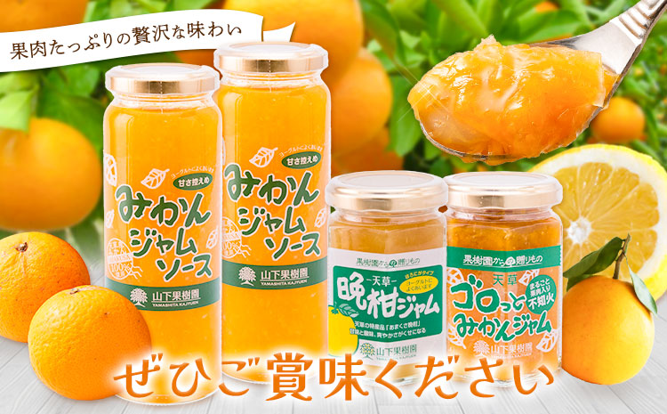 ジャム 手作り 詰め合わせ みかんジャムソース 235g×2本 天草晩柑ジャム 150g×1本 ゴロっとみかんジャム 150g×1本 計3種 計4本セット 《90日以内に出荷予定(土日祝除く)》 山下