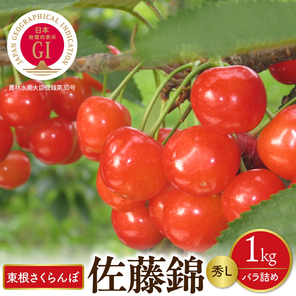 【ふるさと納税】【 2026年産 先行予約 】GI 東根 さくらんぼ 佐藤錦 秀L 1kg バラ詰め ( 500g ×2P ) フルーツ 果物 チェリー 期間限定 先行受付 バラ 1キロ 取り寄せ グルメ ご当地 特産 産地直送 冷蔵 送料無料 東北 山形 東根市 《6/10～6/29順次出荷予定》