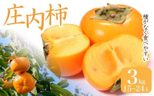 
                  《先行予約 2026年度発送》庄内柿 3kg 15~24玉 柿 かき デザート フルーツ 果物 くだもの 果実 食品 山形県 FSY-2600
                