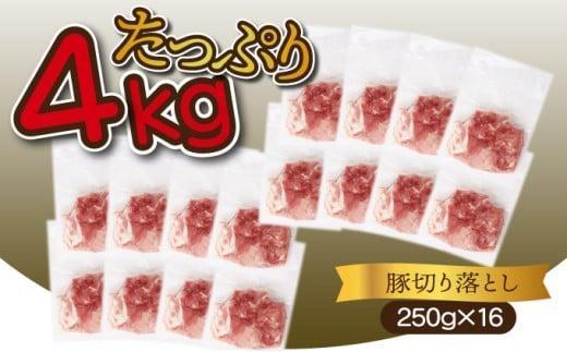 ＜2026年3月発送分＞宮崎県産 豚肉切り落とし 250g×16パック 合計4kg