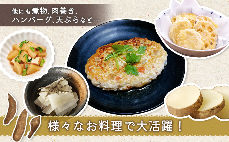 北海道恵庭市産 余湖農園のヤーコン4kg | オンライン申請 ふるさと納税 北海道 恵庭 ヤーコン 4kg 貴重 野菜 根菜 サラダ きんぴら 天ぷら 食物繊維 ポリフェノール ダイエット 健康 お取