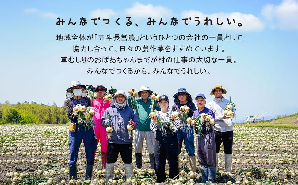 五斗長たまねぎ 20kg（20kg箱×1）　　[玉ねぎ 玉葱 タマネギ 