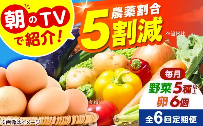 
            【全6回定期便】 米ぬかで育てた！旬のお野菜＆平飼い卵セット 詰合せ 詰め合わせ 新鮮 産地直送 おまかせ やさい 野菜セット 大阪府高槻市/ベジ彩ファーム [AOEJ006] 朝のTVで紹介 旬の野菜セット 新鮮野菜 産地直送 卵 たまご 平飼い卵 やさいセット 家庭用 食材セット サラダ料理 煮物 炒め物 健康志向 ギフト 贈答用 お取り寄せグルメ 栽培 栄養満点 食卓彩り 家庭料理 人気
          