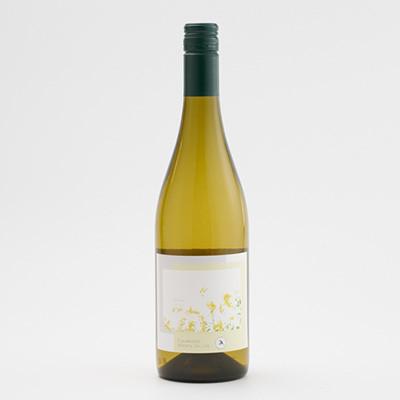 ふるさと納税 多古町 多古ワイン 2022 Blanc(ブラン)シャルドネ・ソーヴィニョンブラン【白ワイン】750ml