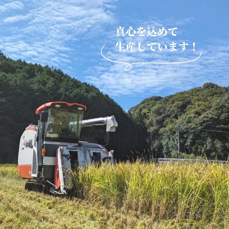 【定期便 6ヶ月】令和7年産 米 ひのひかり 5kg 下関 山口 LO001-B