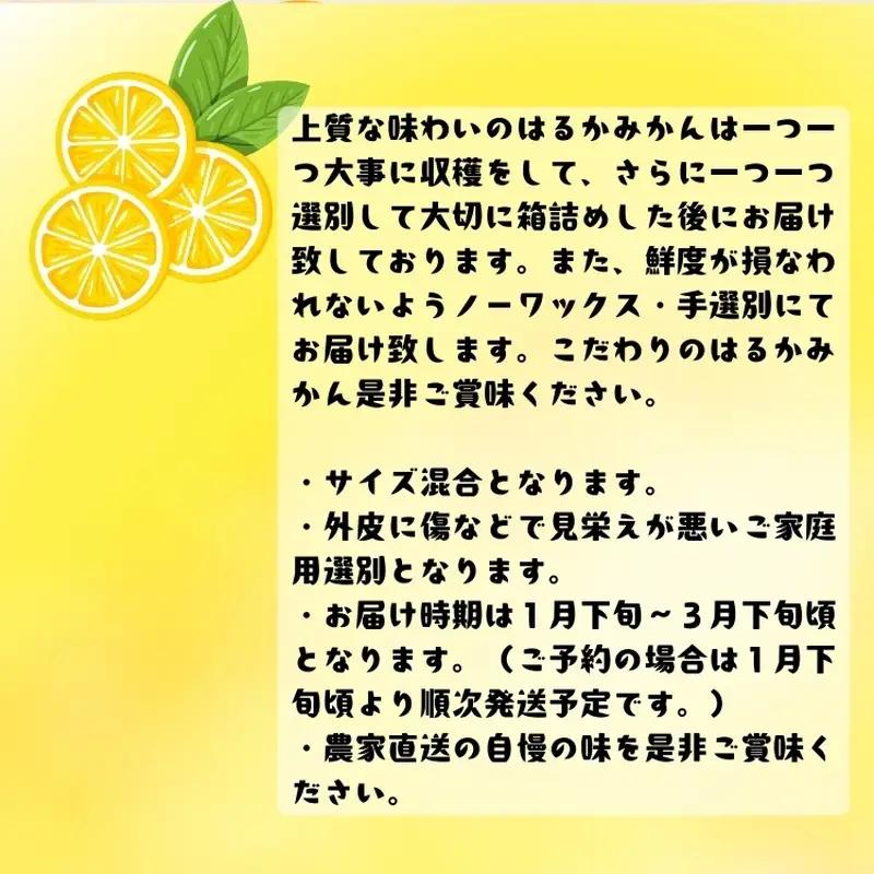 【先行予約】【人気柑橘】 有田育ちの はるか みかん（訳あり 家庭用）5kg+200g(痛み補償分) ※2027年1月下旬～3月下旬に順次発送 ※着日指定不可【ard156B】