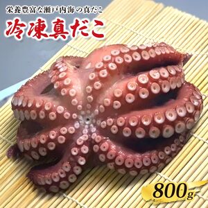 冷凍真だこ 約800g たこたこたこ たこ焼き