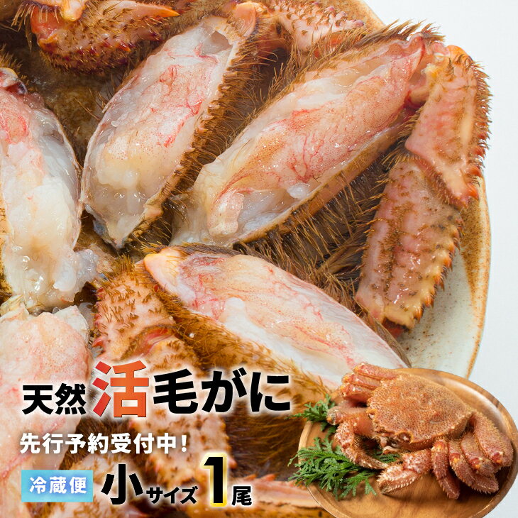 【ふるさと納税】【先行受付開始！】漁協の活毛がに 小サイズ1尾※日付指定対応不可※[02-1419]※離島・沖縄県発送不可※ 北海道 浦河町 ふるさと納税 北海道産 北海道浦河産 極寒 活毛がに 毛ガニ カニ 小サイズ 送料無料