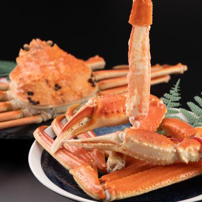 ふるさと納税 智頭町 鳥取県産　タグ付きボイル松葉ガニ大1枚(800〜900g) |  | 01