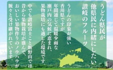 【冬の定期便3回】丸亀自慢のフルーツ 苺 はっさく フルーツ 定期便