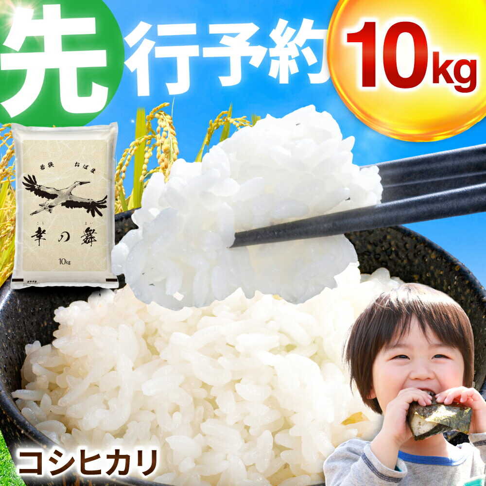 【ふるさと納税】【 先行予約 /11月以降発送】 【令和8年産】 福井県産 コシヒカリ 10kg お米 白米 小浜市 / 今富の宝 [BFCI005]