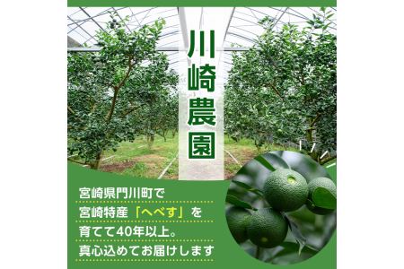 ＜先行予約受付中！2024年6月中旬～7月の間に順次発送予定＞期間限定！門川町産へべす(1kg)柑橘 果汁 国産 特産品 宮崎県 門川町【AM-1】【川崎農園】