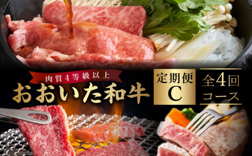 《定期便》おおいた和牛 定期便C