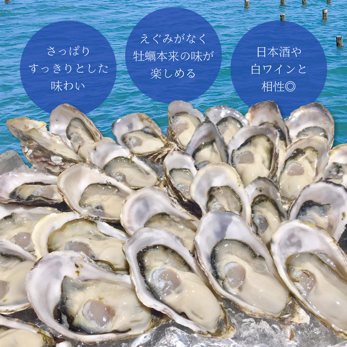 あまべ牡蠣 冷凍 30個 約1.8kg 牡蠣 シングルシード 生食用 殻付き かき カキ オイスター 生ガキ 生牡蠣 生がき 生かき