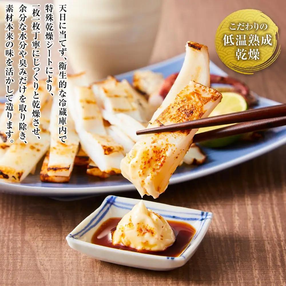 博多製造 九州産 やりいか一夜干し (大サイズ・160g×4)