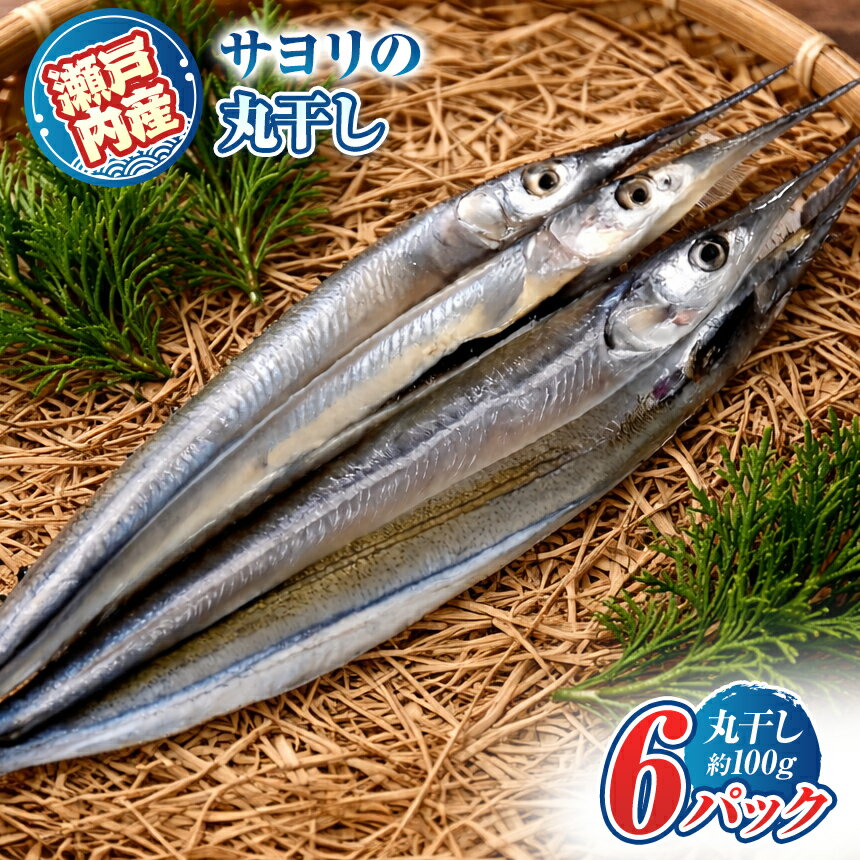 【ふるさと納税 】 瀬戸内海 産 サヨリ 丸干し 600 g （ 赤穂 の 塩 のみ 使用 ） ｜ 魚 干物 つまみ 珍味 乾物 海の幸 海産物 瀬戸内 山口県 平生町