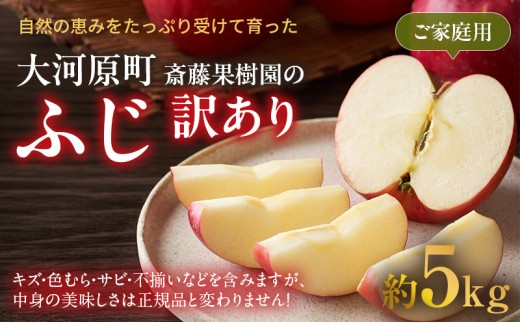 りんご ふじ 訳あり 5kg 果物 フルーツ わけあり 不揃い 規格外 ご家庭用 宮城県 大河原町 産地直送 林檎 リンゴ くだもの 先行予約 送料無料
