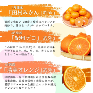 【全6回定期便】旬のフルーツ定期便 【田村みかん / 紀州デコ(不知火) / 清見オレンジ / 小玉スイカ / 桃 / ゆら早生みかん】 ～和歌山の旬をお届け～ / みかん ミカン 温州みかん 有田み