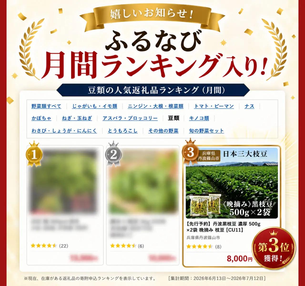 月間ランキング入り！【先行予約】丹波黒枝豆 濃厚 500g×2袋 晩摘み 枝豆  [CU11]