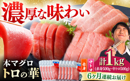 【全6回定期便】対馬産 本マグロ 1kg（赤身500g、中トロ500g） トロの華 対馬 新鮮 マグロ トロ 鮪 刺身 [WAQ053]