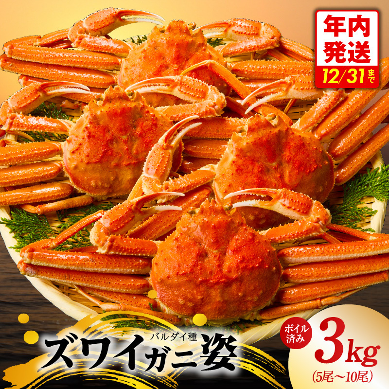 【年内発送】バルダイ種 ズワイガニ姿 3kg（5～10尾）【訳あり規格 ボイル済み オオズワイガニ かに カニ 蟹 ズワイガニ ファミリー向け】 G3183y