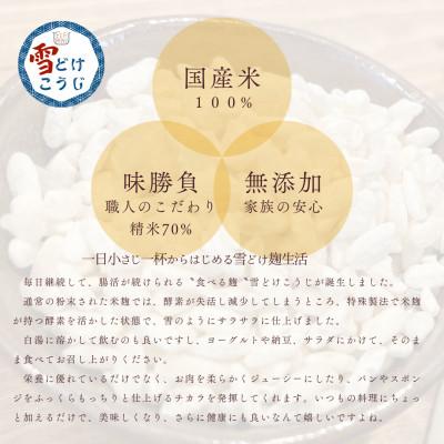 ふるさと納税 東村山市 雪どけこうじ　無添加・国産米100%　料理にひと振り、体も心も軽くなる発酵サポートする米麹　100g |  | 03