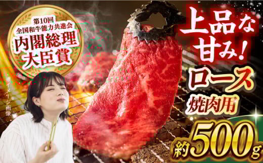 長崎和牛 ロース 焼肉用 約500g 長崎県/長崎県農協直販 [42ZZAA163]