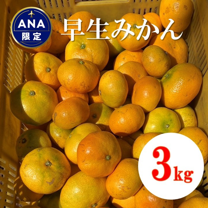早生みかん 3kg ご家庭用 農園直送 先行予約 【11月以降順次発送予定】 愛媛 数量限定 愛媛県産 人気 柑橘 伊予市｜ A99