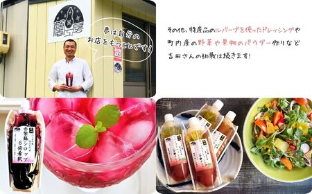 【先行予約】【2026年9月から順次発送】 濃縮 赤紫蘇シロップ ６倍希釈 500ml×１０本 | 紫蘇シロップ 馨工房 