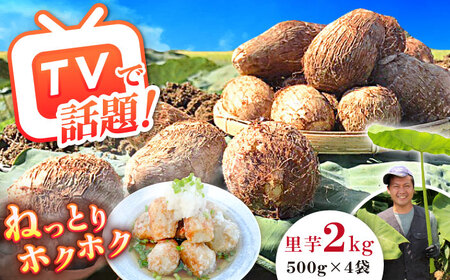 【先行予約】里芋 2キロ 里芋 サトイモ さといも [BDAX002]