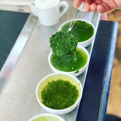 ふるさと納税 天理市 大和茶・宇治煎茶・宇治玉露セット |  | 03