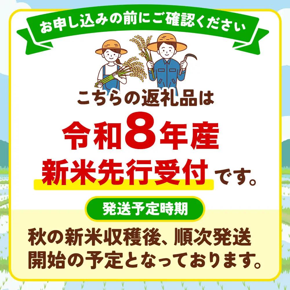 令和8年産 新米受付《定期便7ヶ月》あきたこまち 清流米 3kg【無洗米】秋田県産