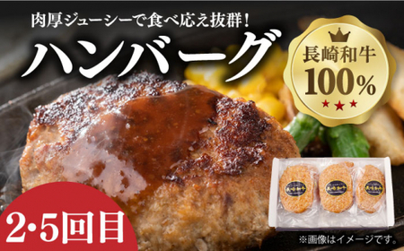 【6回定期便】 長崎和牛メイン 切り落とし 約8kg [DBL027] 切り落とし ハンバーグ