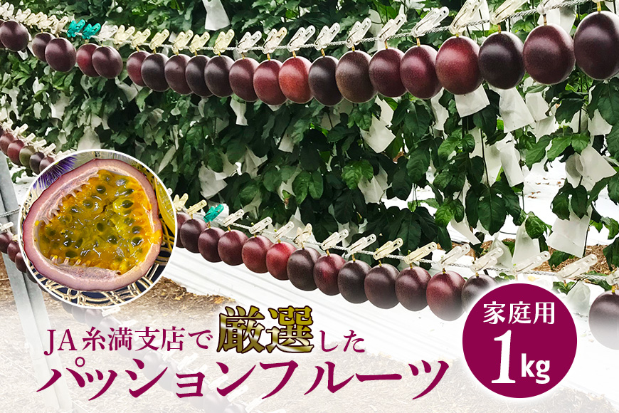 【2026年発送】JA糸満支店で厳選した「パッションフルーツ」家庭用　約1kg 5-7