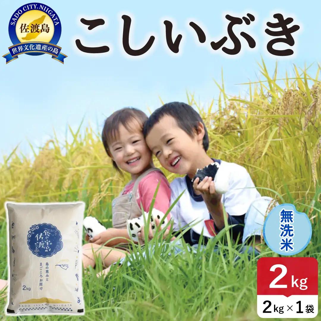 令和8年産 佐渡島産こしいぶき 無洗米2kg 195962-152102