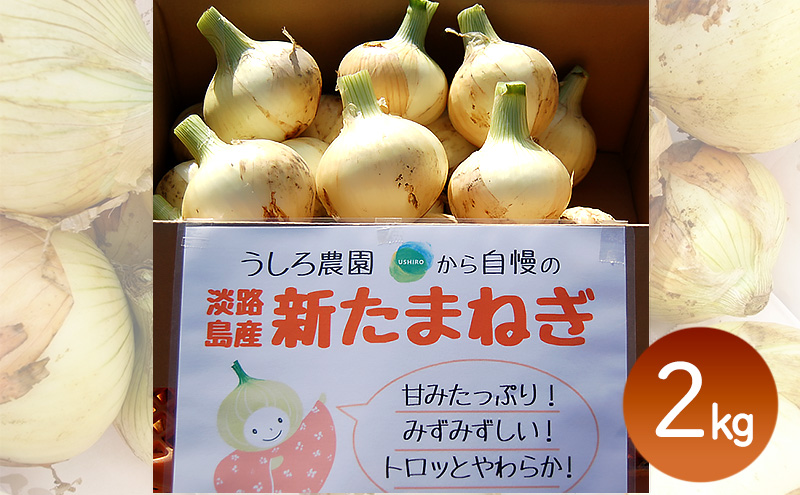 【うしろ農園】【極早生】淡路島洲本市産 新玉ねぎ 2kg 兵庫県 洲本市 淡路島