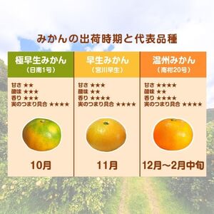【訳あり】愛媛みかん （ 極早生 ） 3kg【発送時期：９月下旬～１１月下旬】2S-Lサイズ サイズミックス 愛媛みかん 温州みかん 一番みかん 柑橘 みかん 少量 お試し 試供品 5000円 愛媛県