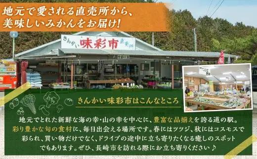 温州みかん （ 早生 ） 約5kg （ S ～ Lサイズ ） みかん ミカン 蜜柑 早生みかん 柑橘 果物 くだもの 果実 フルーツ 長崎県産 【 2026年11月上旬～12月下旬迄発送予定 】