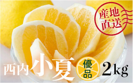 ＜先行予約＞【優品】西内小夏 2kg　N53 [NU-04] 【西内農園】