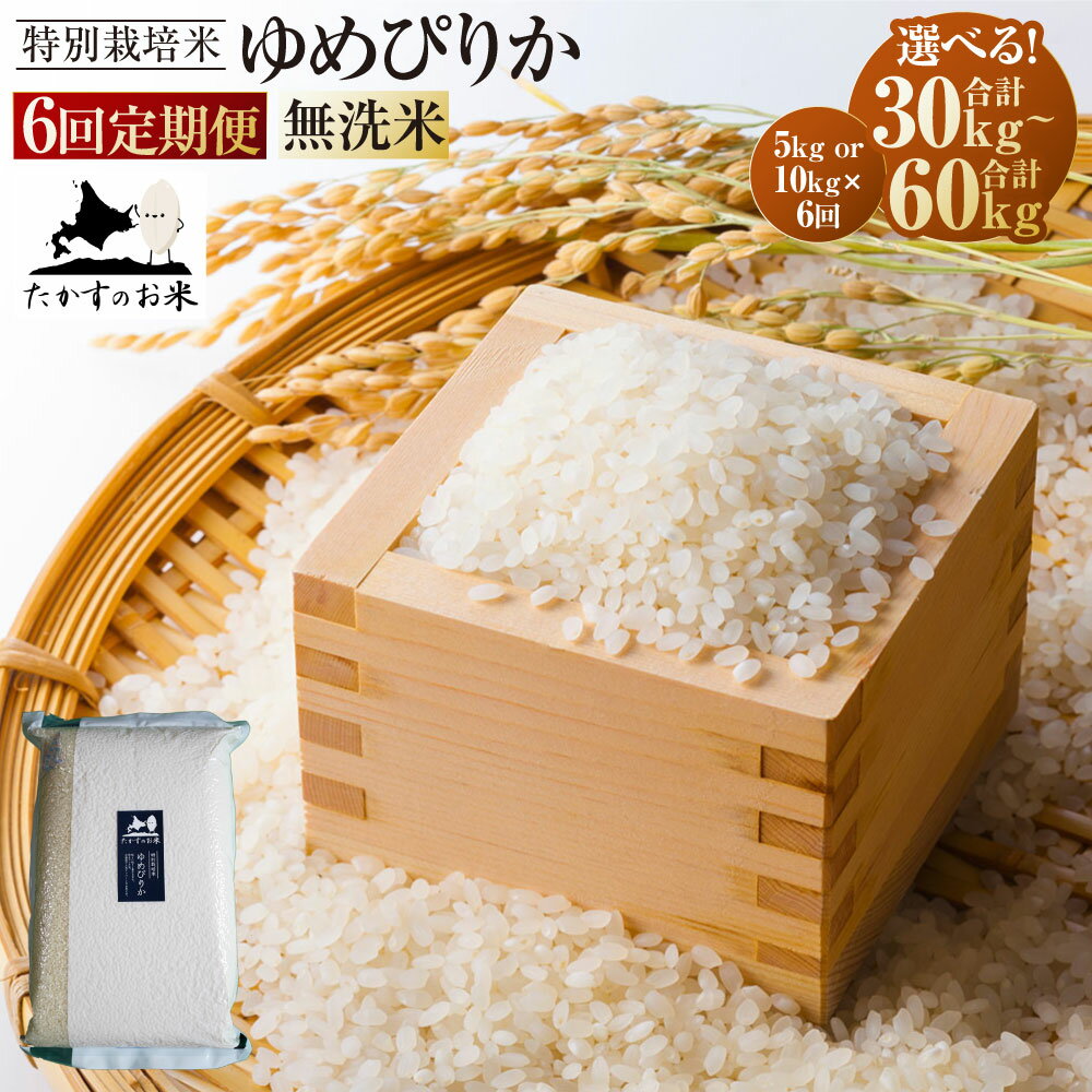 【ふるさと納税】〈選べる内容量〉【6回定期便】ゆめぴりか (無洗米) 真空パック 5kg 10kg 【2025年10月下旬より発送開始】 合計30kg 60kg 北海道 鷹栖町 たかすのお米 特別栽培米 米 コメ ご飯 無洗米 お米 ゆめぴりか