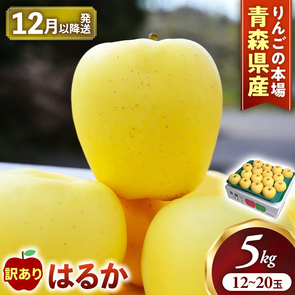 【ふるさと納税】【先行予約】高級りんご 訳あり はるか 約5kg 12〜20玉【2026年産 | 2026年12月上旬〜2027年1月中旬頃まで発送予定】りんご 林檎 リンゴ 訳あり はるか 国産 フルーツ 果物 希少 青森県 三戸町